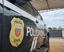 PCPR e PMPR prendem homem em flagrante posse irregular de arma de fogo e munição em Tapejara