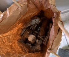 PCPR prende dois homens desarticula esquema de tráfico e distribuição de drogas em Cambé