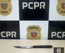 PCPR prende mulher em flagrante por lesão corporal e ameaça em Icaraíma