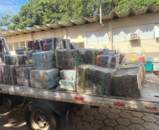 PCPR apreende três toneladas de maconha durante operação em Foz do Iguaçu