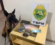 PCPR e PMPR prendem quatro pessoas durante ação contra o tráfico de drogas em Goioerê 