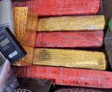 PCPR e GCM apreendem 11 quilos de maconha e prendem homem em flagrante em Ponta Grossa