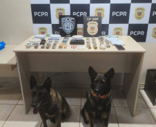 PCPR e GCM prendem prendem homem em flagrante por tráfico de drogas em Ponta Grossa