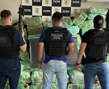 PCPR apreende mais de 2,3 toneladas de maconha durante abordagem em Palmas 