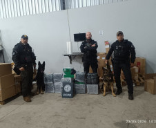 PCPR apreende 150 quilos de maconha durante ação em Cascavel