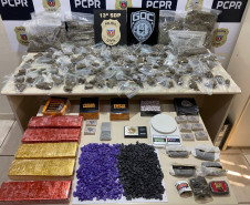 PCPR e GCM apreendem 11 quilos de maconha e prendem homem em flagrante em Ponta Grossa
