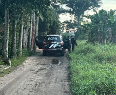 PCPR prende três suspeitos por homicídios registrados em Matinhos