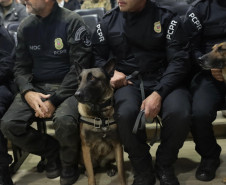 PCPR inspira criação de data oficial em homenagem aos cães operacionais da segurança pública 