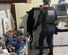 Forças de segurança prendem 21 pessoas em operação contra organização criminosa