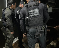 PCPR prende casal em flagrante por tráfico de drogas em Dois Vizinhos