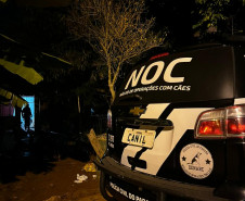 PCPR prende casal em flagrante por tráfico de drogas em Dois Vizinhos