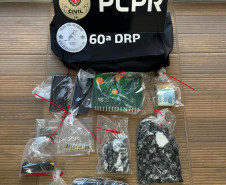 PCPR prende casal em flagrante por tráfico de drogas em Dois Vizinhos
