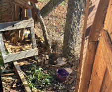 PCPR prende homem por maus-tratos a animal em Tibagi