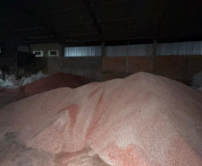 PCPR prende 7 pessoas e apreende maquinário para adulteração de fertilizantes em Ponta Grossa