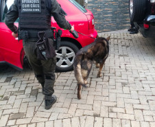PCPR prende casal e apreende armas, munições e equipamentos durante operação em Curitiba