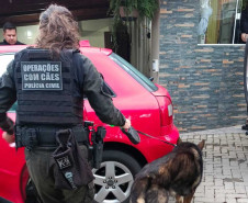 PCPR prende casal e apreende armas, munições e equipamentos durante operação em Curitiba