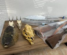 PCPR prende 23 suspeitos por caça de animais silvestres no Paraná, Santa Catarina e Mato Grosso