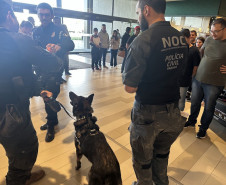 PCPR leva campanha de prevenção às drogas ao Jockey Plaza Shopping