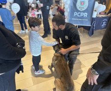 PCPR leva campanha de prevenção às drogas ao Jockey Plaza Shopping