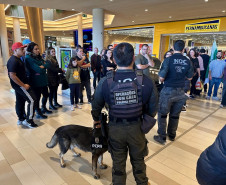 PCPR leva campanha de prevenção às drogas ao Jockey Plaza Shopping