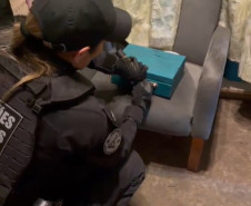 PCPR apreende armas, drogas e R$ 78 mil em operação contra grupo criminoso em Curitiba