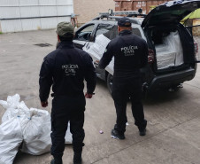 PCPR destrói 2 mil pares de tênis falsificados apreendidos