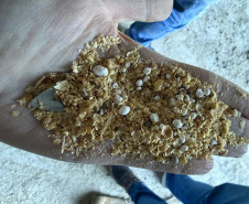 PCPR prende quatro homens por adulteração de produtos agrícolas em São José dos Pinhais