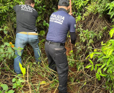 PCPR realiza buscas em área rural durante investigação sobre desaparecimento de jovens