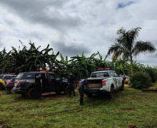 PCPR realiza buscas em área rural durante investigação sobre desaparecimento de jovens