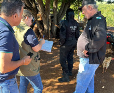 PCPR prende homem e apreende armas e aves silvestres durante ação em Cornélio Procópio