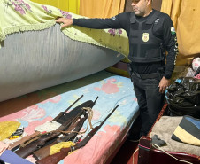 PCPR prende homem e apreende armas e aves silvestres durante ação em Cornélio Procópio