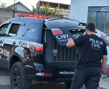 PCPR prende proprietário de ferro-velho por receptação de lixeiras furtadas em Cornélio Procópio