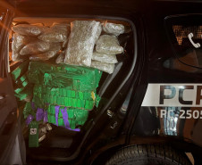 PCPR apreende mais de 825 quilos de maconha em Foz do Iguaçu