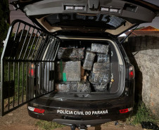 PCPR apreende mais de 825 quilos de maconha em Foz do Iguaçu