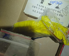 PCPR prende cinco pessoas durante operação contra o tráfico de drogas no Sudoeste do Estado