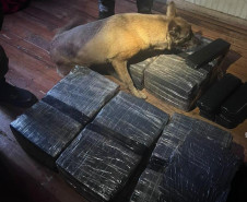 PCPR prende oito pessoas e apreende mais de 120 quilos de drogas em operação em Cascavel