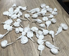 PCPR e PMPR prendem 13 pessoas e apreendem drogas e armas em Arapongas