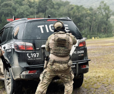 Tigre completa 36 anos com 75 prisões e 100% de solução em casos de sequestro