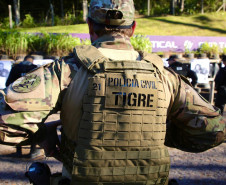 Tigre completa 36 anos com 75 prisões e 100% de solução em casos de sequestro