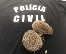 PCPR prende duas pessoas por crime ambiental