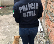 PCPR prende suspeitos de crime ambiental em Curitiba e RMC 