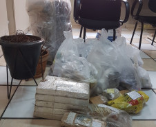 PCPR incinera 30 quilos de drogas diversas em Jacarezinho