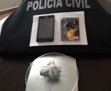PCPR incinera 30 quilos de drogas diversas em Jacarezinho