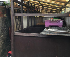 PCPR prende suspeita de manter canil clandestino no bairro Xaxim