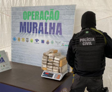 Operação Muralha