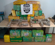 PCPR apreende mais de 620 quilos de maconha em Cascavel