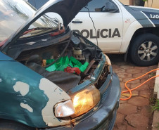 PCPR prende dois por tráfico e aprende quase 100 kg de maconha em Foz do Iguaçu