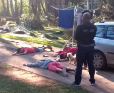 PCPR recupera carga de 9 toneladas de queijos e manteiga em Piraquara. 