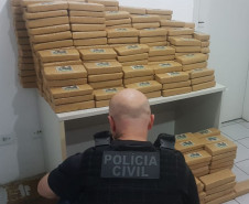 PCPR apreende cerca de 350 quilos de maconha e prende três por tráfico em São Luiz do Purunã