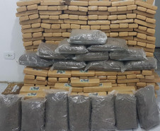 PCPR apreende cerca de 350 quilos de maconha e prende três por tráfico em São Luiz do Purunã